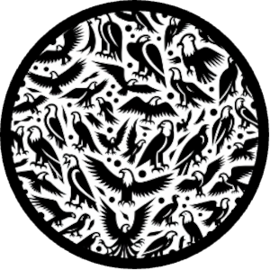 tap for bird sounds, African fish eagles